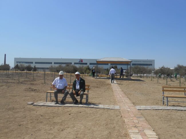 Members of the project team in the remediated area