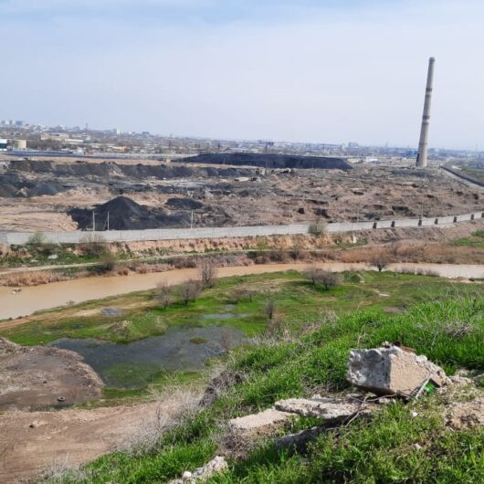 Partnership for Environmental Health (PEH) project in Eastern Europe and Central Asia