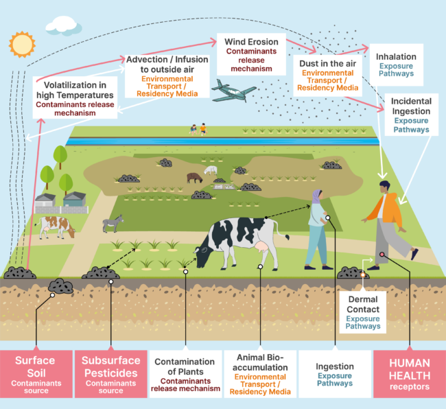 Conceptual Site Model of Pesticide Contamination in Navobod Village, Tajikistan